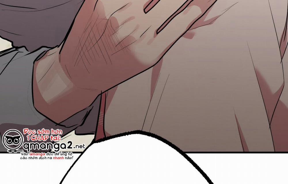 Đàn Thỏ Của Habibi 18 trang 4