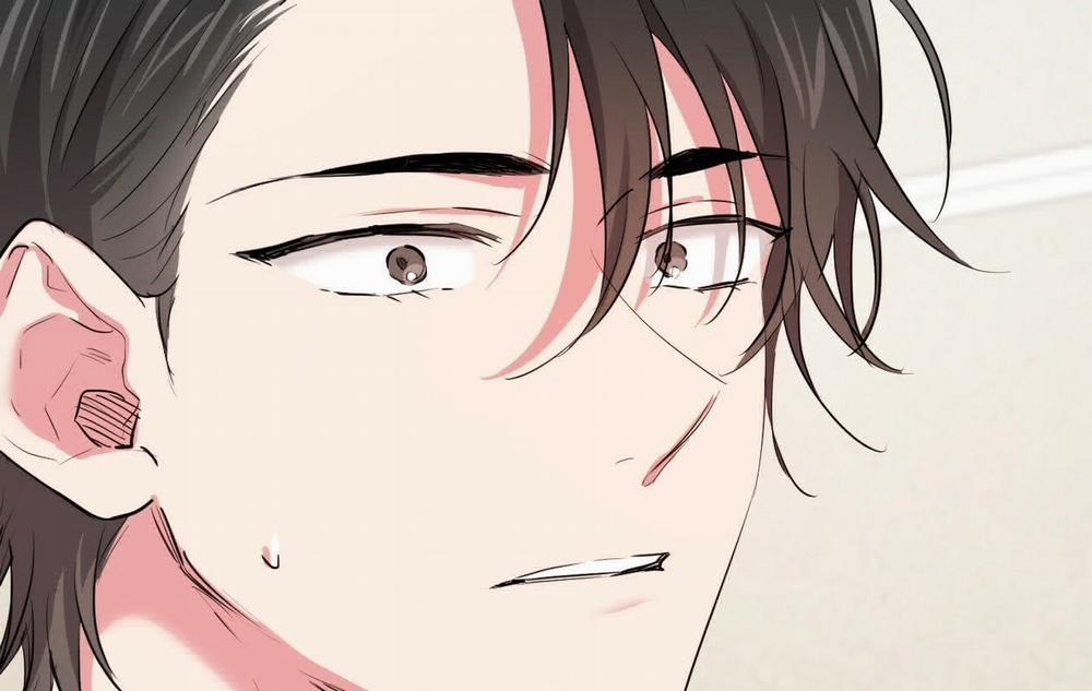 Đàn Thỏ Của Habibi 18 trang 41