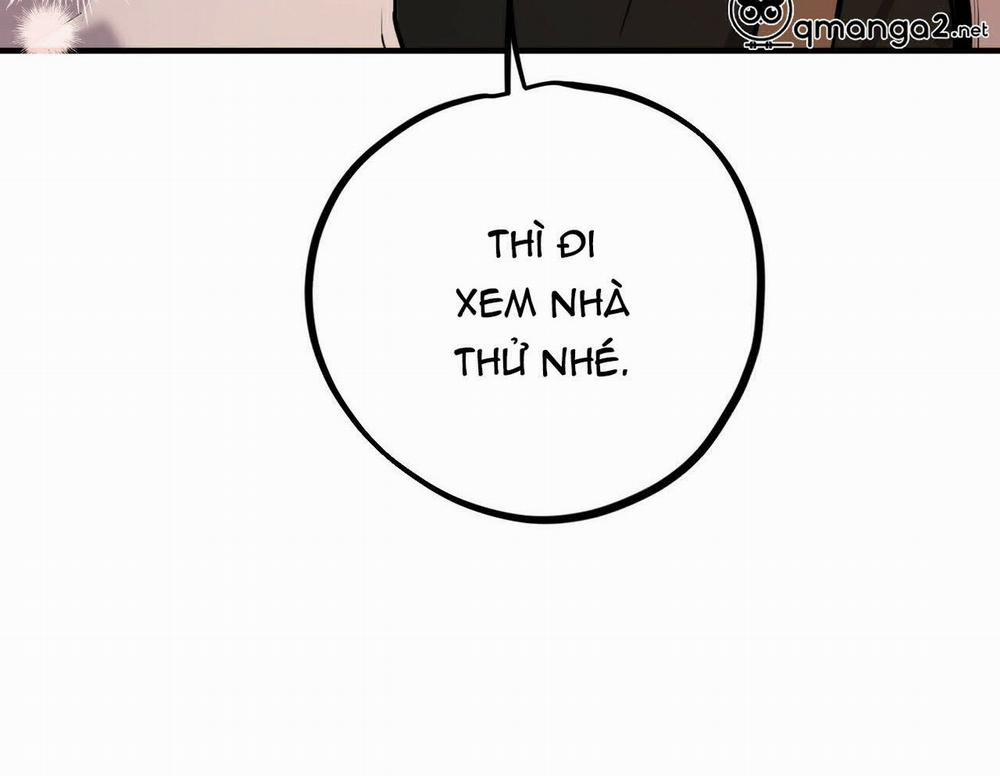 Đàn Thỏ Của Habibi 19 trang 104