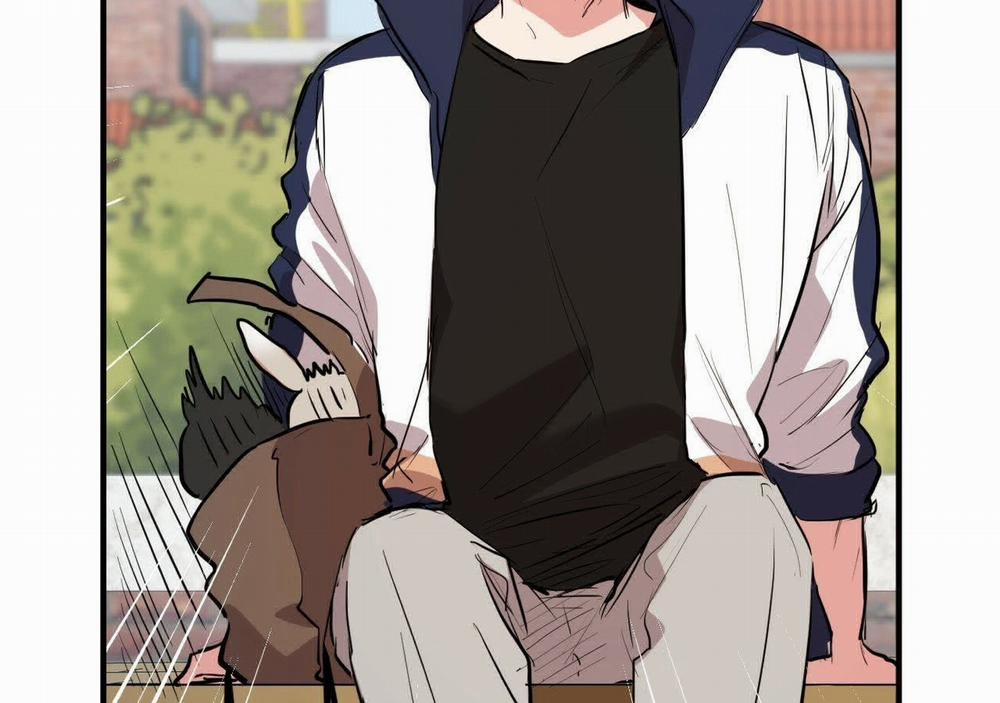 Đàn Thỏ Của Habibi 19 trang 123