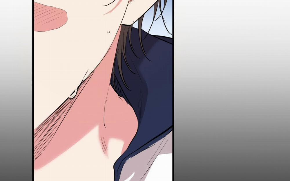 Đàn Thỏ Của Habibi 19 trang 132