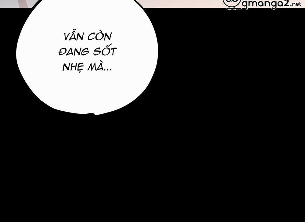 Đàn Thỏ Của Habibi 19 trang 152