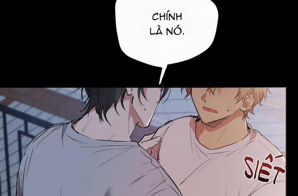 Đàn Thỏ Của Habibi 19 trang 167