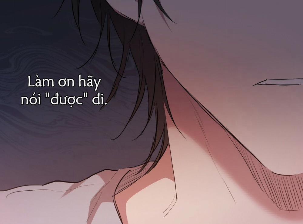 Đàn Thỏ Của Habibi 19 trang 203