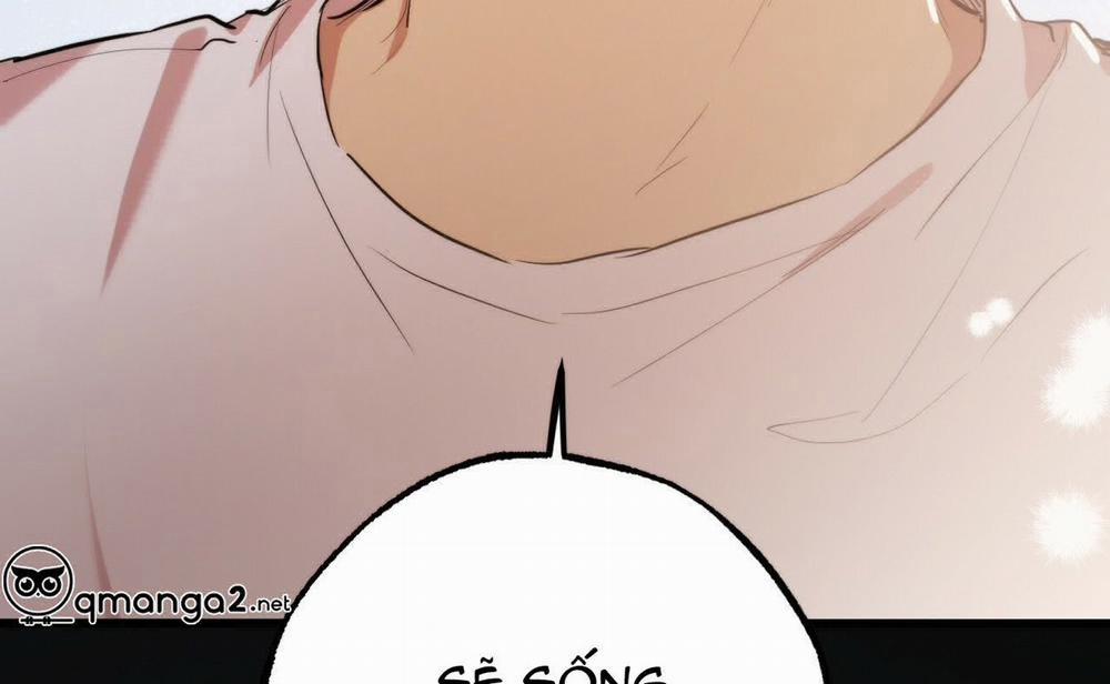 Đàn Thỏ Của Habibi 19 trang 227