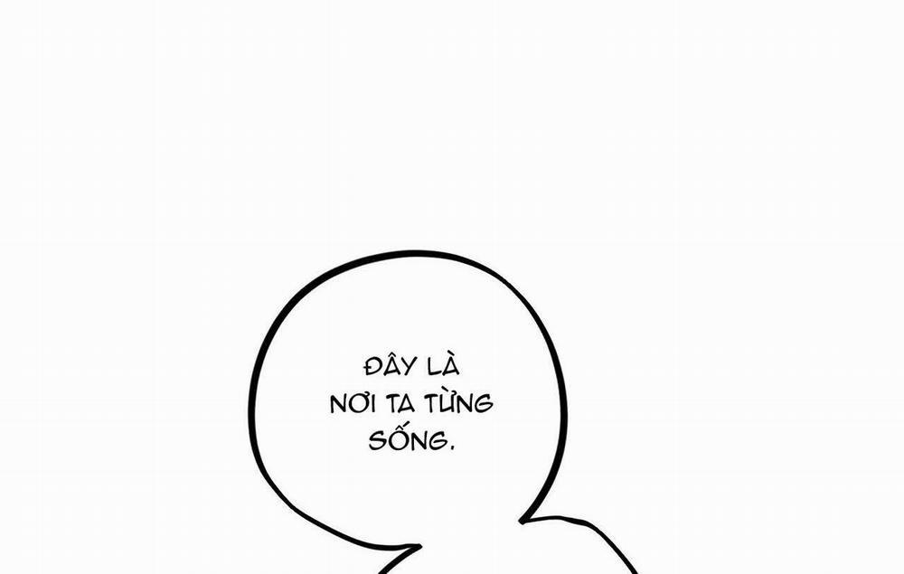 Đàn Thỏ Của Habibi 19 trang 240