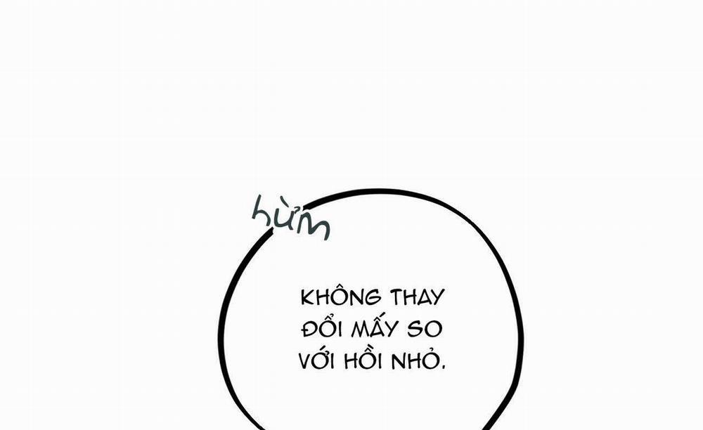 Đàn Thỏ Của Habibi 19 trang 248