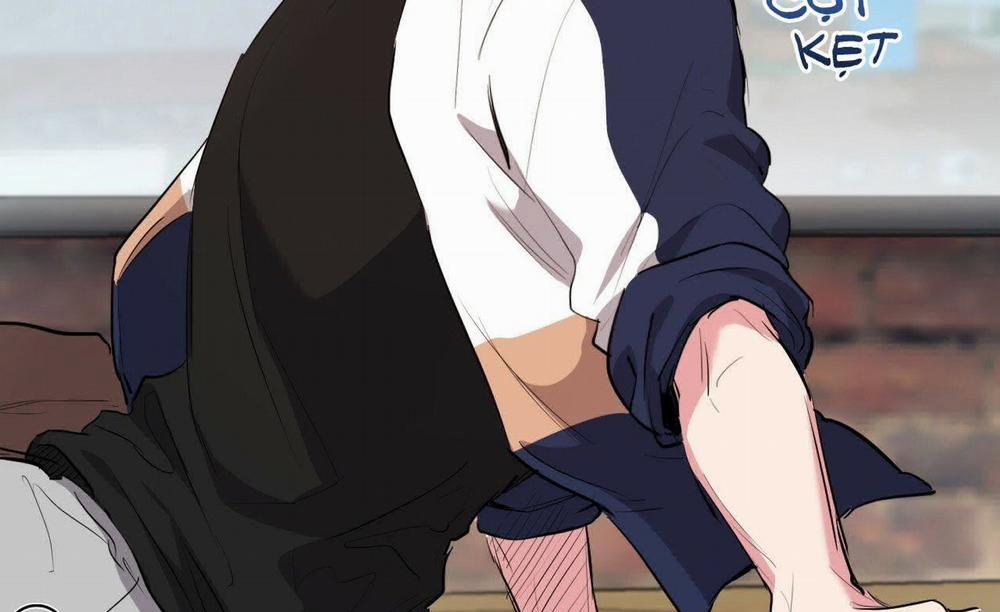 Đàn Thỏ Của Habibi 19 trang 257