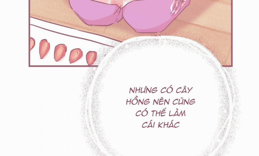 Đàn Thỏ Của Habibi 19 trang 266