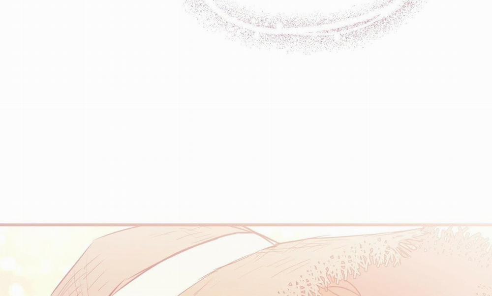 Đàn Thỏ Của Habibi 19 trang 267