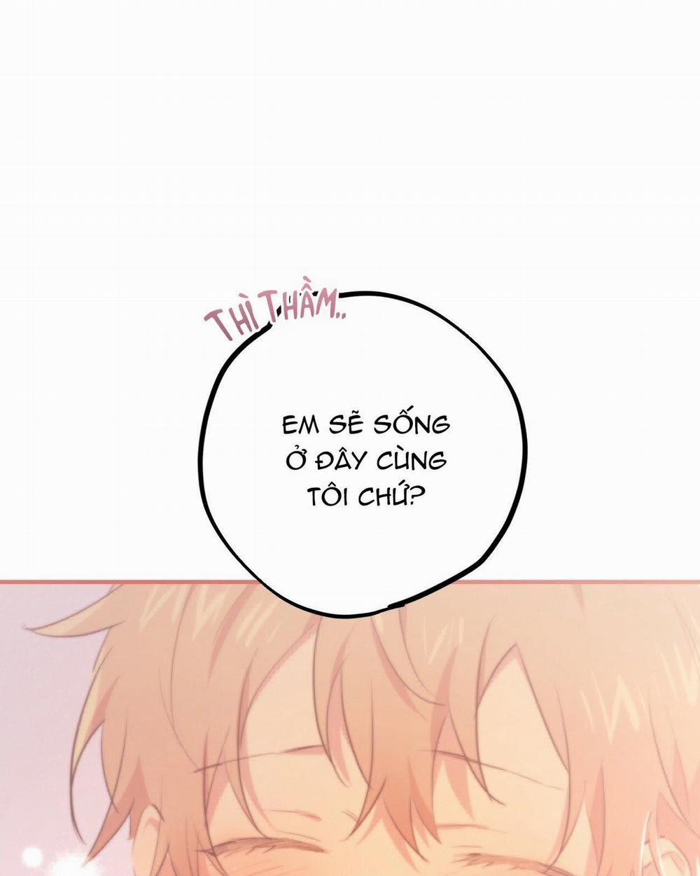 Đàn Thỏ Của Habibi 19 trang 274