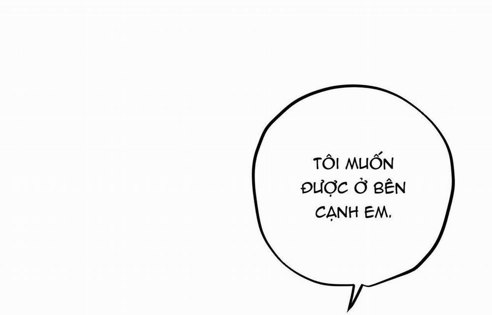 Đàn Thỏ Của Habibi 19 trang 39