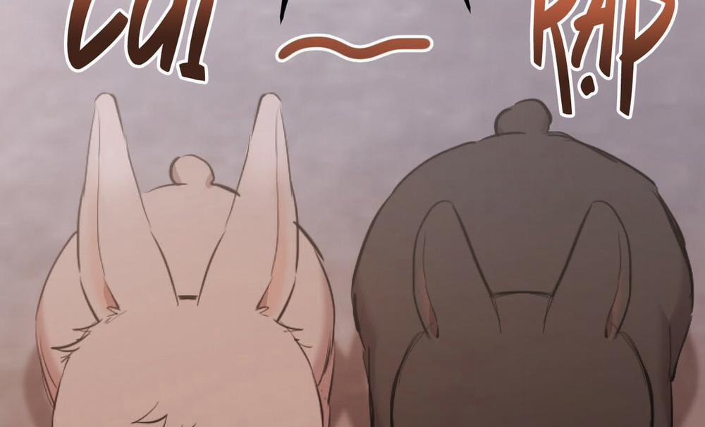 Đàn Thỏ Của Habibi 19 trang 77