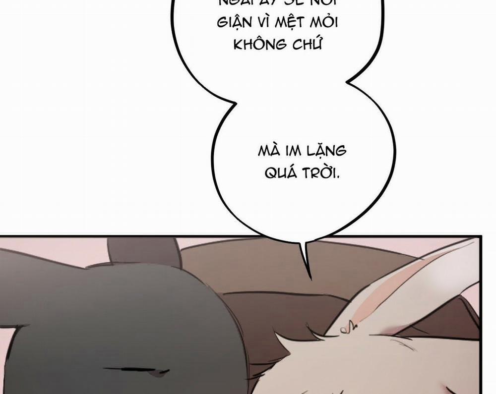 Đàn Thỏ Của Habibi 19 trang 85