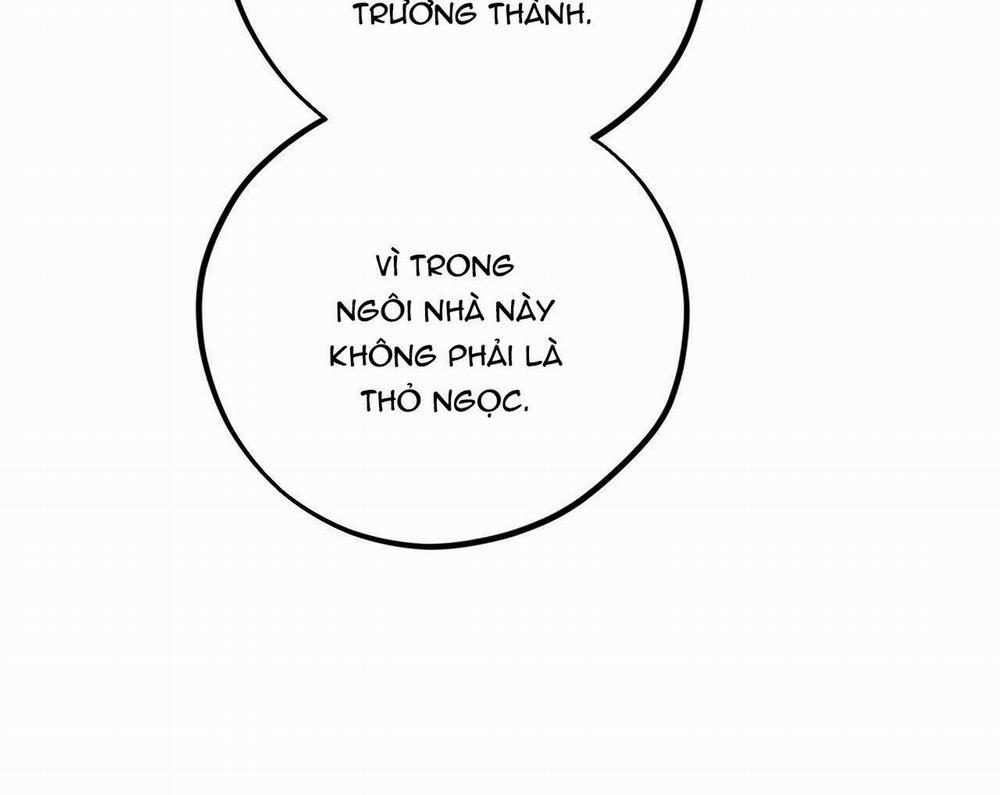 Đàn Thỏ Của Habibi 19 trang 91