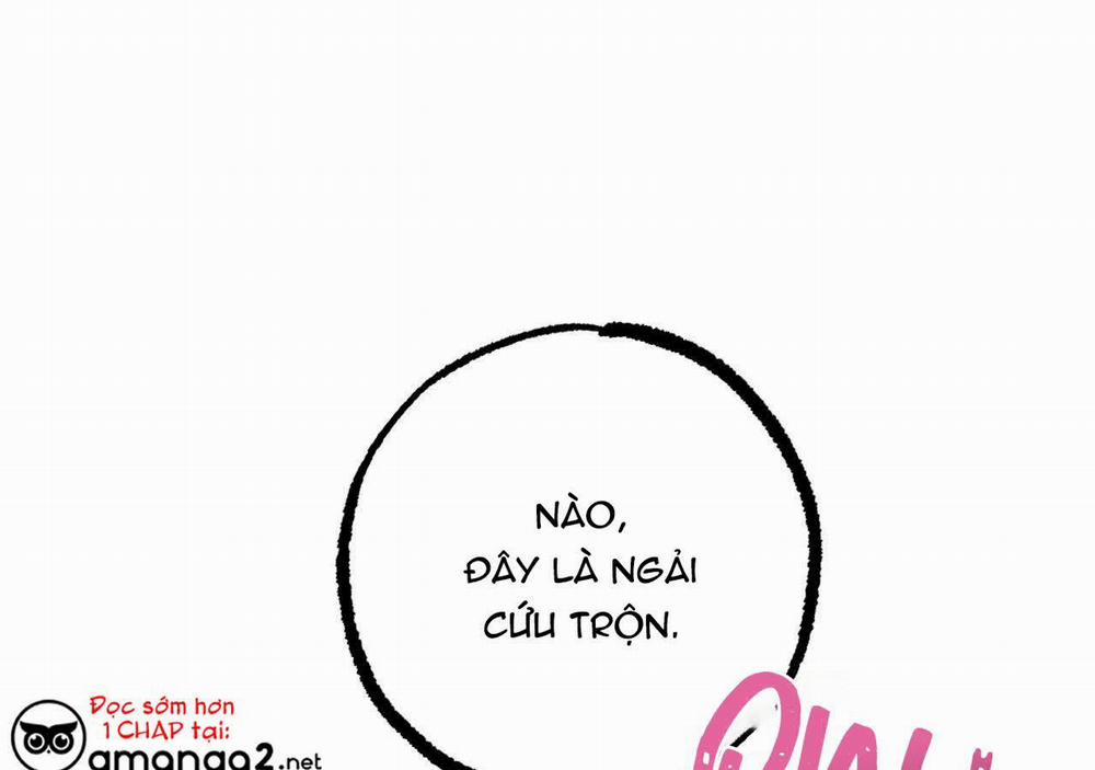 Đàn Thỏ Của Habibi 20 trang 1