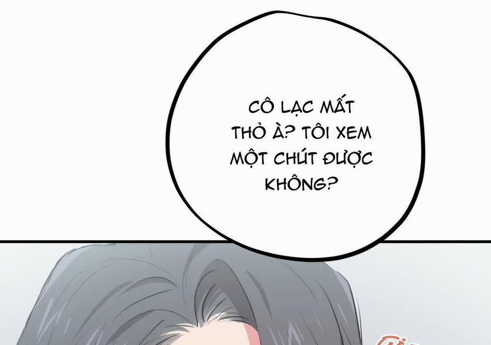 Đàn Thỏ Của Habibi 20 trang 126