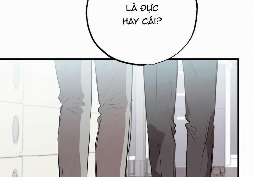 Đàn Thỏ Của Habibi 20 trang 132