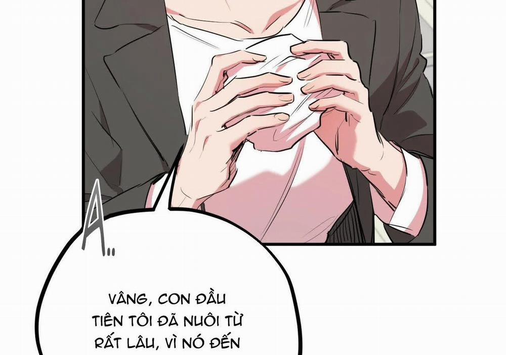 Đàn Thỏ Của Habibi 20 trang 137