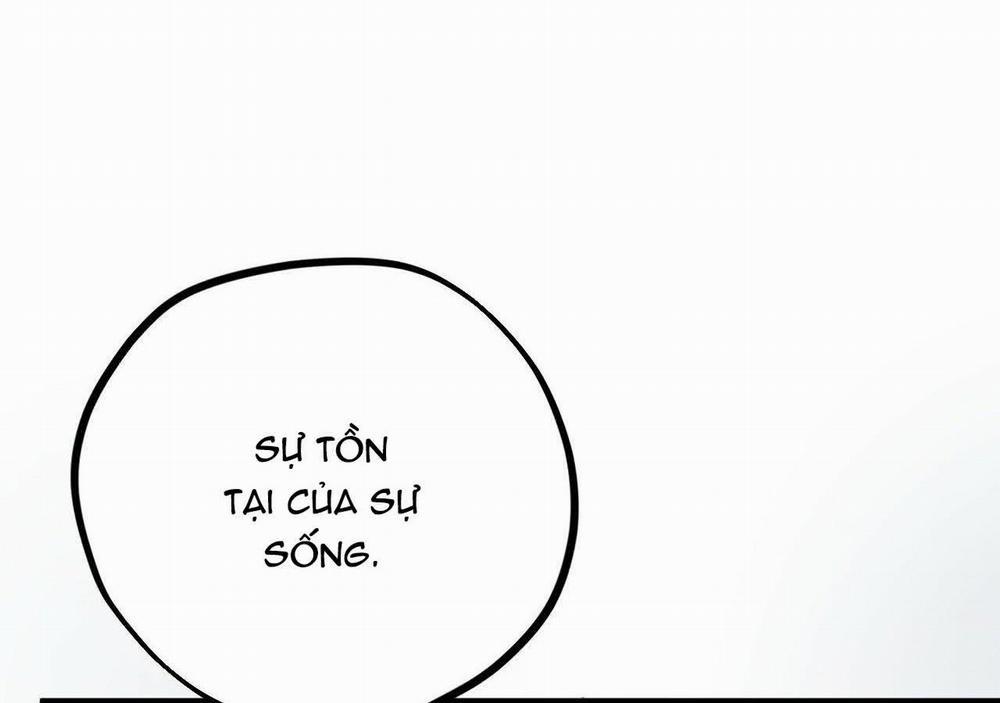 Đàn Thỏ Của Habibi 20 trang 170