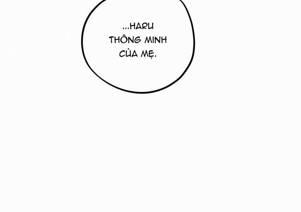 Đàn Thỏ Của Habibi 20 trang 227