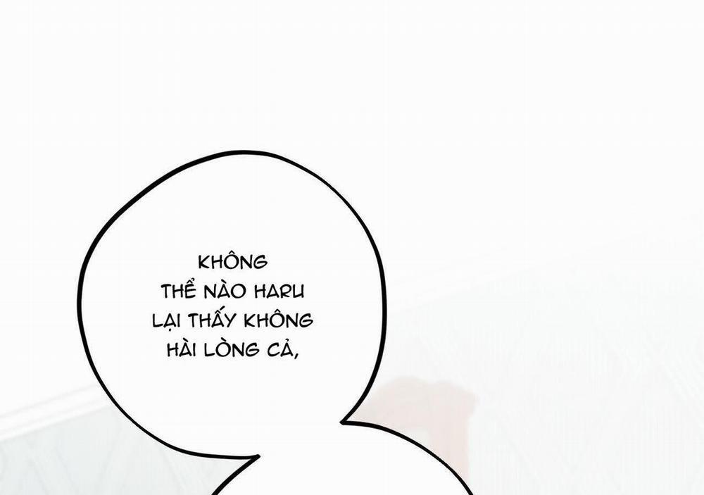 Đàn Thỏ Của Habibi 20 trang 230