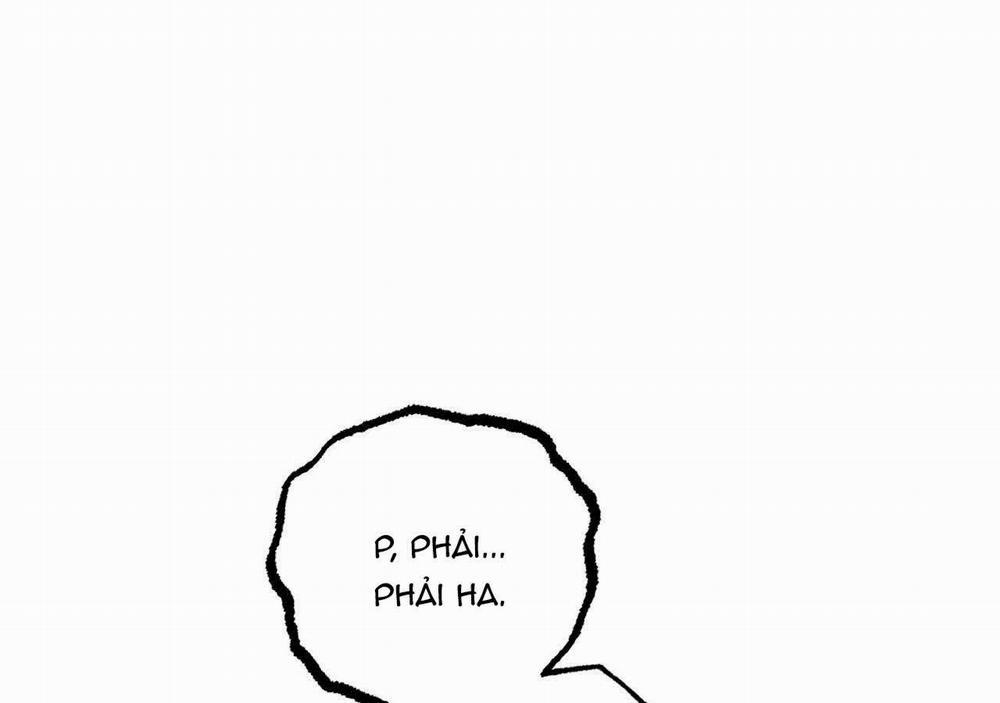 Đàn Thỏ Của Habibi 20 trang 40