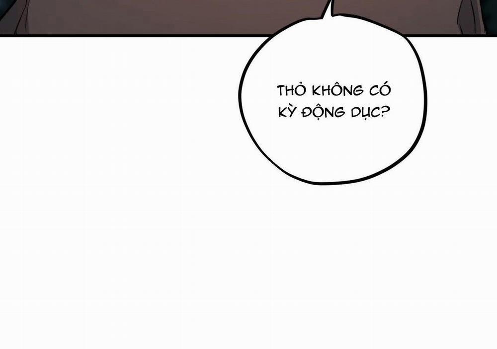 Đàn Thỏ Của Habibi 20 trang 49