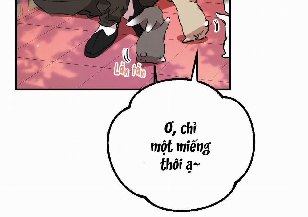 Đàn Thỏ Của Habibi 21 trang 11