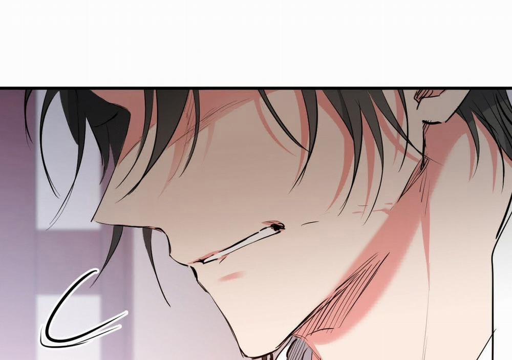 Đàn Thỏ Của Habibi 21 trang 113