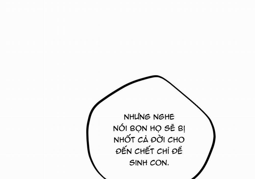 Đàn Thỏ Của Habibi 21 trang 131