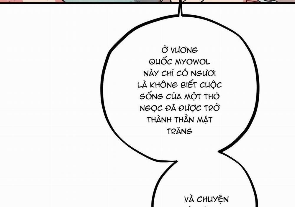 Đàn Thỏ Của Habibi 21 trang 157