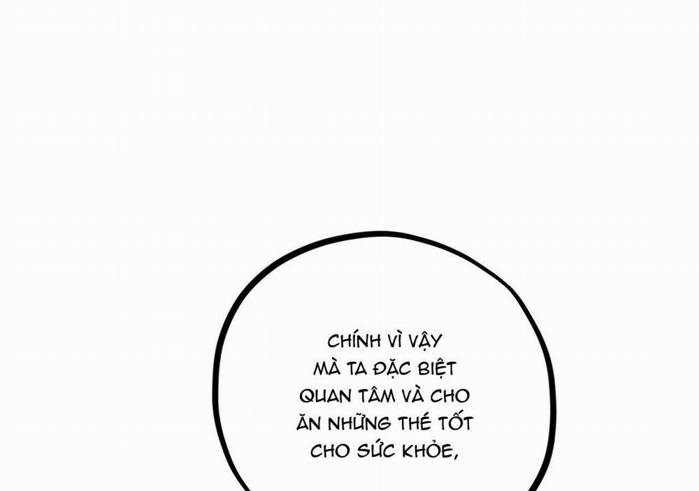 Đàn Thỏ Của Habibi 21 trang 159