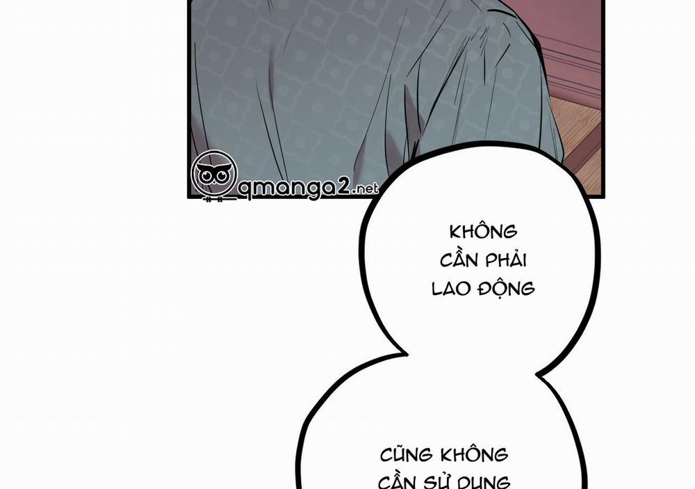 Đàn Thỏ Của Habibi 21 trang 162