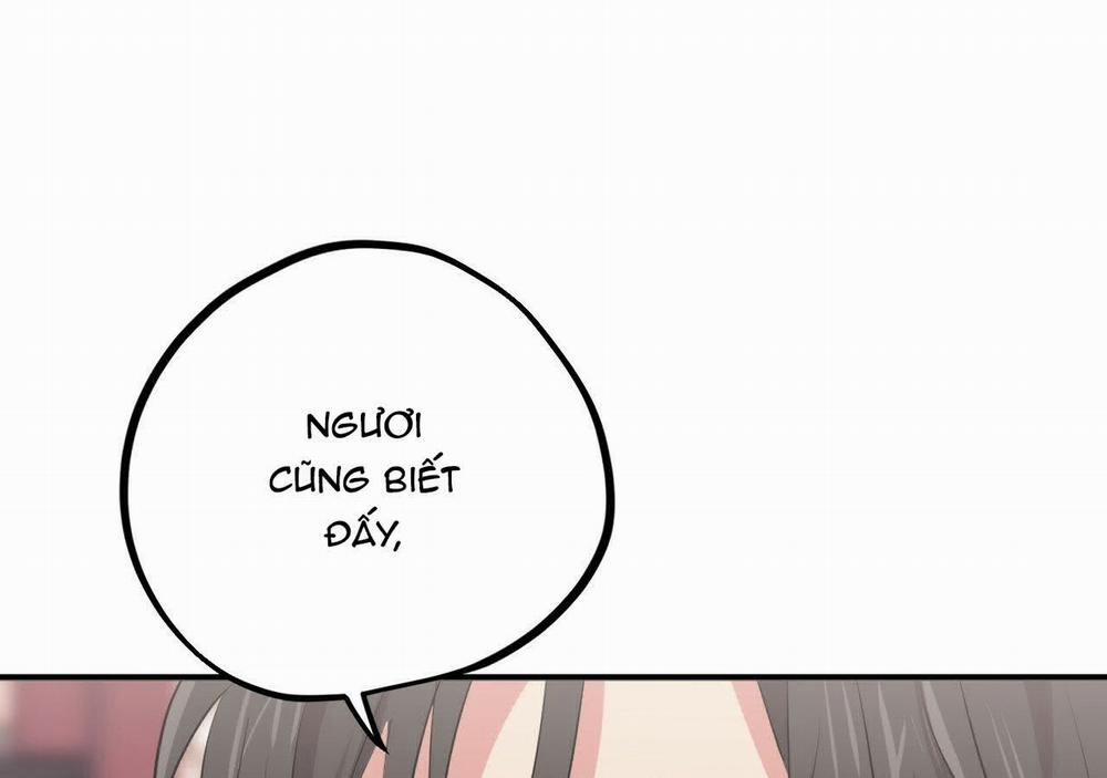 Đàn Thỏ Của Habibi 21 trang 179