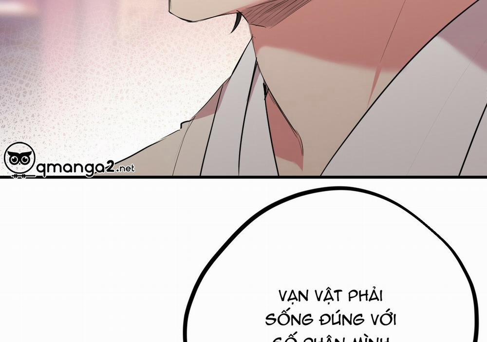 Đàn Thỏ Của Habibi 21 trang 181