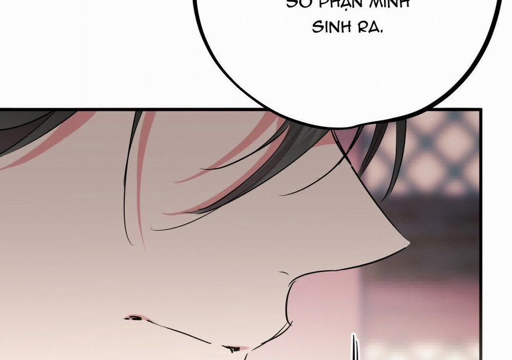 Đàn Thỏ Của Habibi 21 trang 182