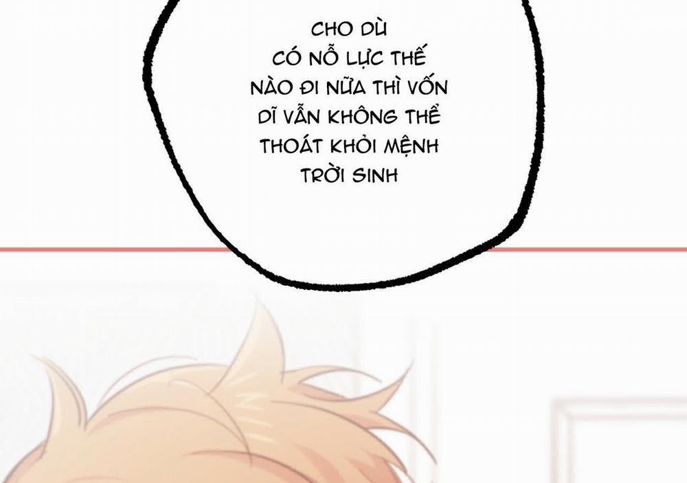 Đàn Thỏ Của Habibi 21 trang 186