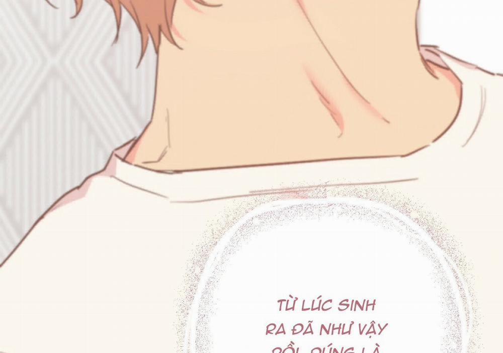 Đàn Thỏ Của Habibi 21 trang 188