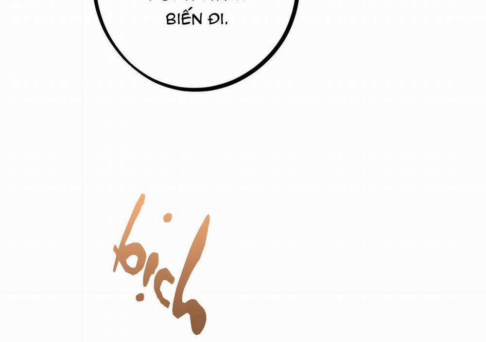 Đàn Thỏ Của Habibi 21 trang 19