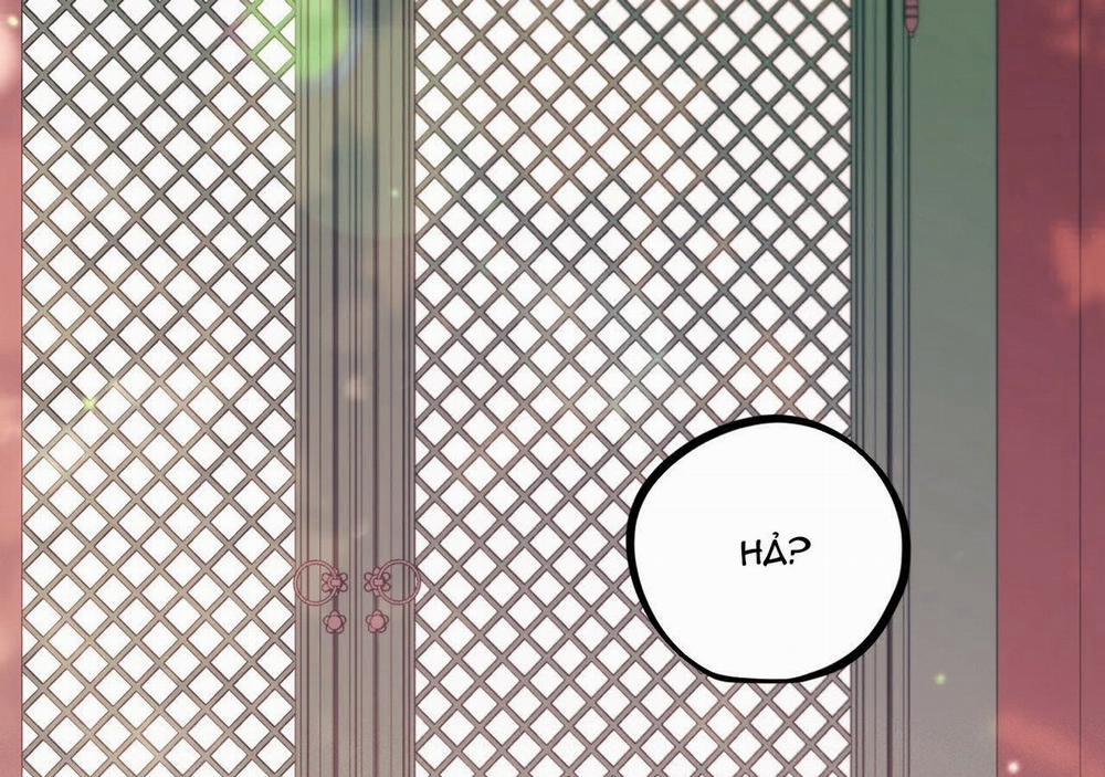 Đàn Thỏ Của Habibi 21 trang 203