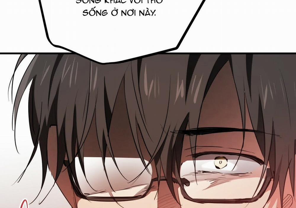 Đàn Thỏ Của Habibi 21 trang 210