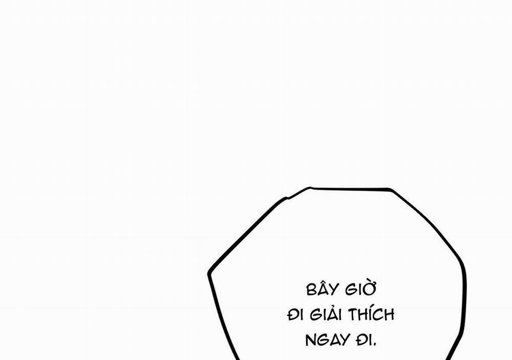 Đàn Thỏ Của Habibi 21 trang 212