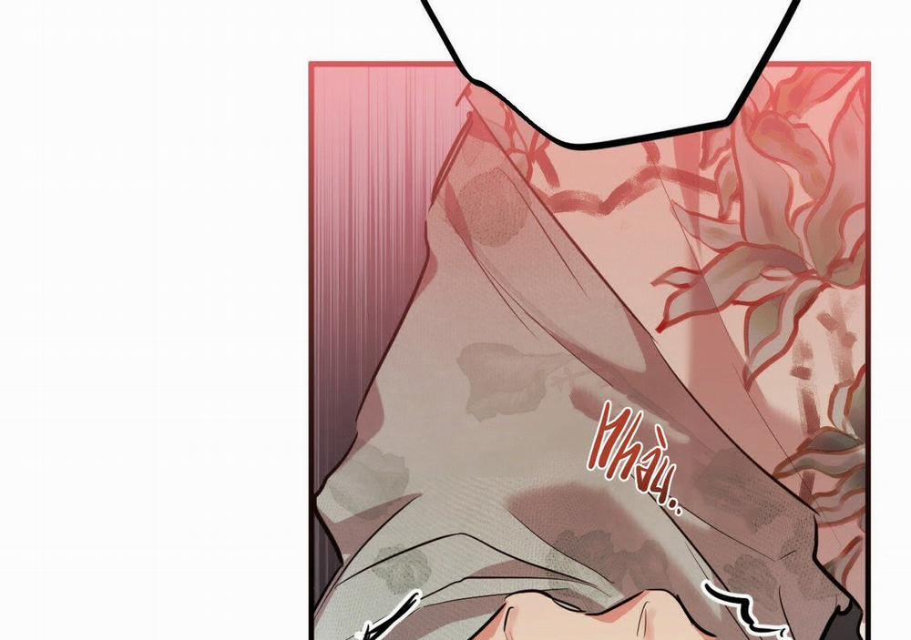 Đàn Thỏ Của Habibi 21 trang 213