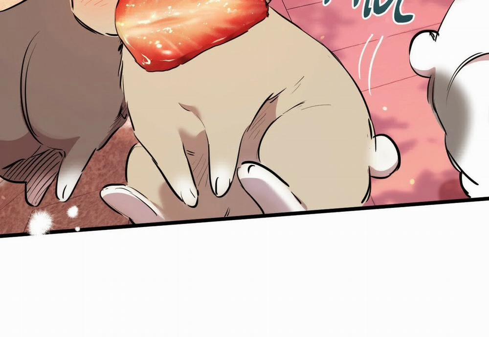 Đàn Thỏ Của Habibi 21 trang 24