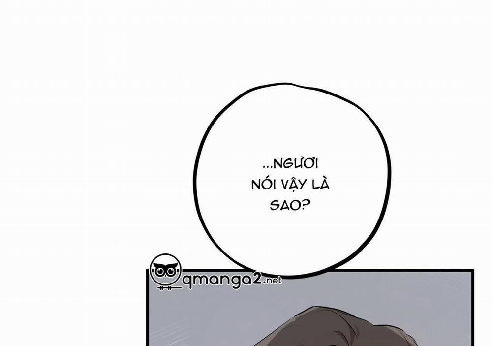 Đàn Thỏ Của Habibi 21 trang 252