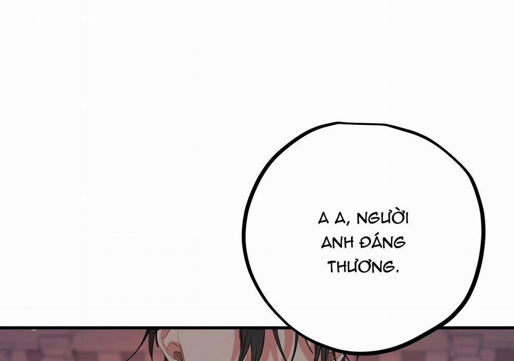 Đàn Thỏ Của Habibi 21 trang 259