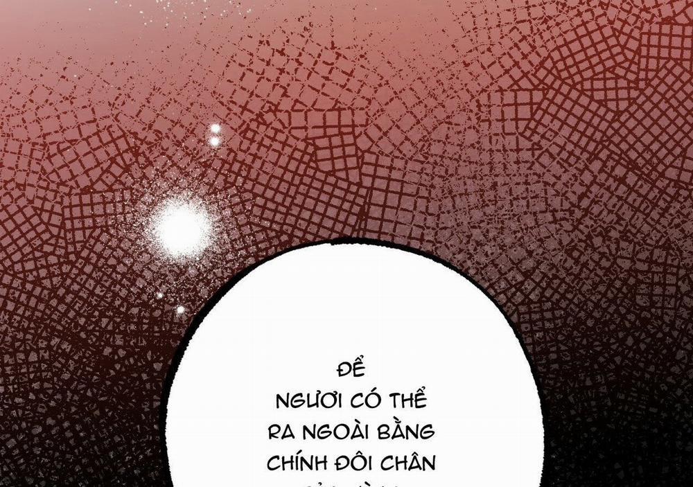 Đàn Thỏ Của Habibi 21 trang 274