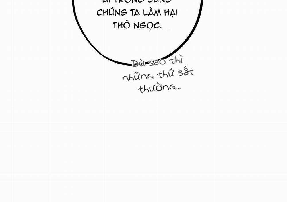 Đàn Thỏ Của Habibi 21 trang 52