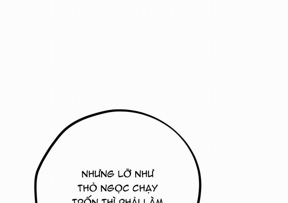 Đàn Thỏ Của Habibi 21 trang 67